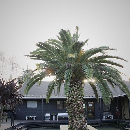 ヒューゴー アンド カーターズ バックパッカーズ アンド モーテル タウランガ エクステリア 写真 The pool at the hotel